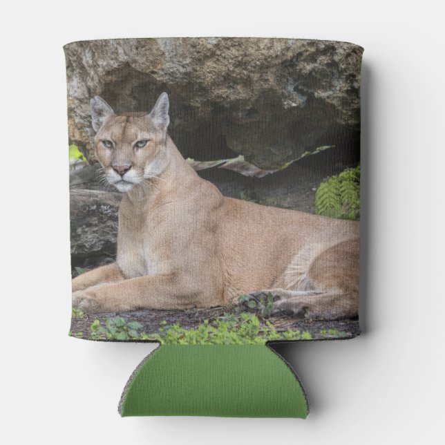 Florida Panther Can Cooler Dosenkühler (Rückseite)