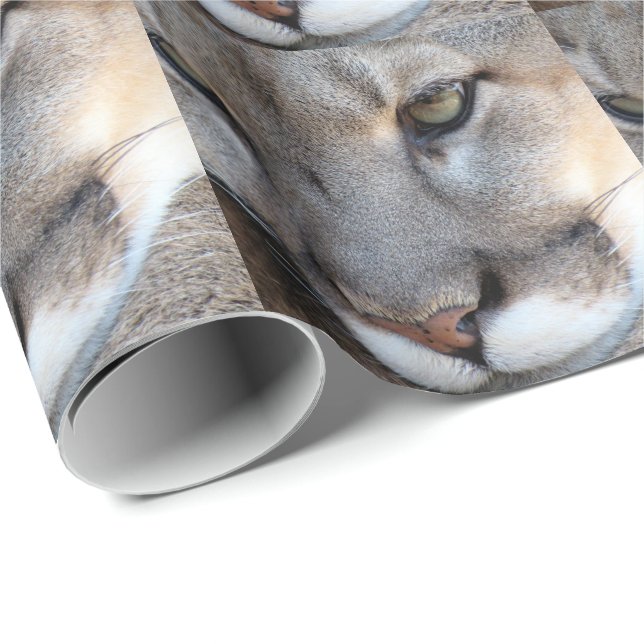 Florida-Panther-Packpapier (4071) Geschenkpapier (Rolleneckpunkt)