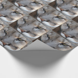 Florida-Panther-Packpapier (4071) (Grenze) Geschenkpapier