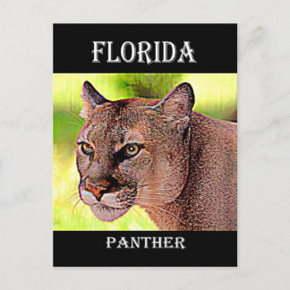 Florida Panther Postkarte