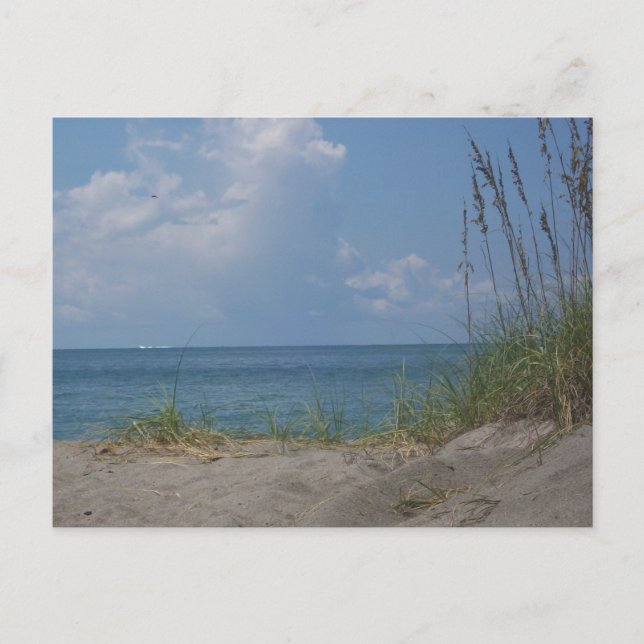 Florida Paradise Postkarte (Vorderseite)