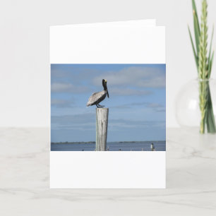 Florida-Pelikan auf einem Posten am Dock Karte