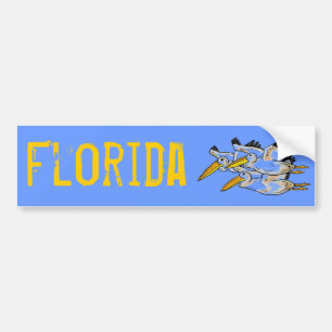 Florida-Pelikan-Autoaufkleber Autoaufkleber