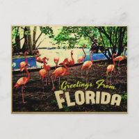 Florida Pink Flamingos