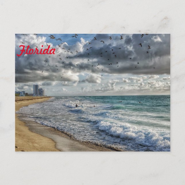Florida Post Card Südküste Florida Postkarte (Vorderseite)