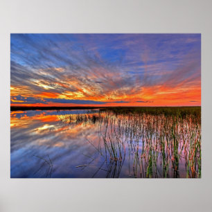 Florida Poster
