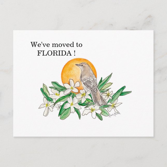 Florida Postkarte (Vorderseite)