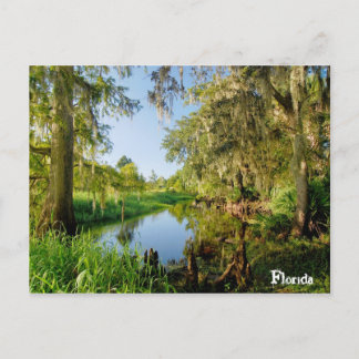 Florida Postkarte