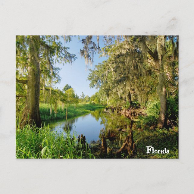 Florida Postkarte (Vorderseite)