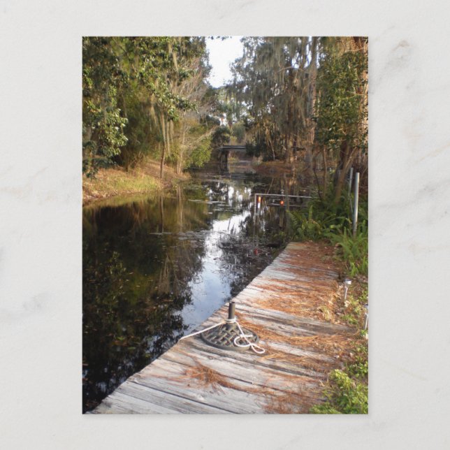 Florida Postkarte (Vorderseite)