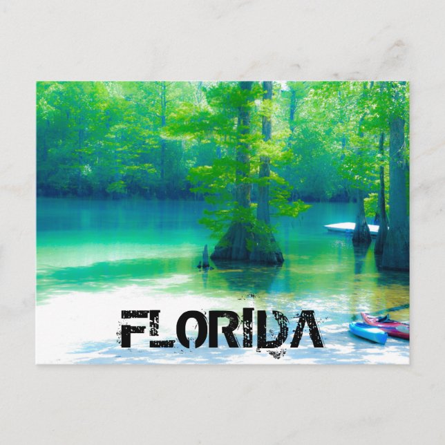 FLORIDA POSTKARTE (Vorderseite)
