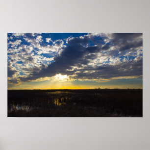 Florida Prairie Landschaft Poster