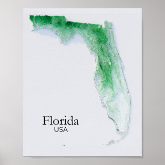 Florida Relief Map Grüne Textur Poster