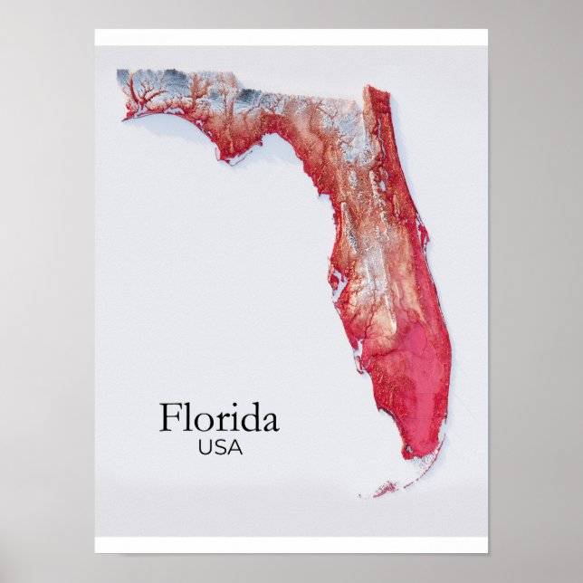 Florida Relief Map Red Texture Poster (Vorne)