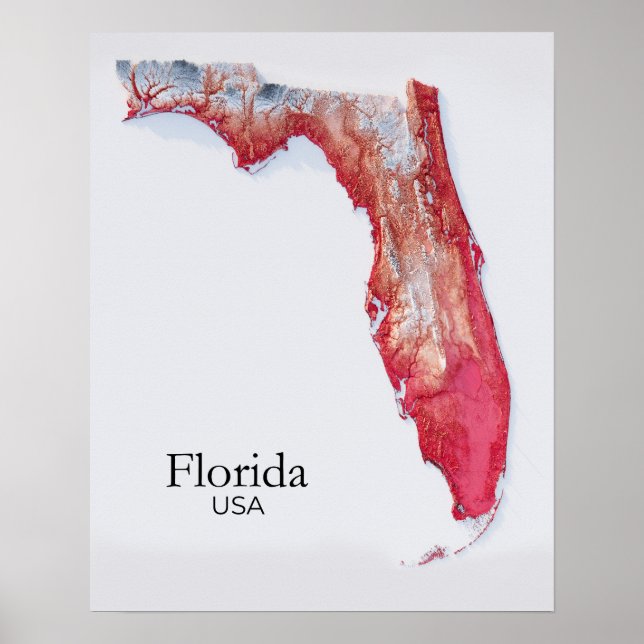 Florida Relief Map Rote Textur Poster (Vorne)