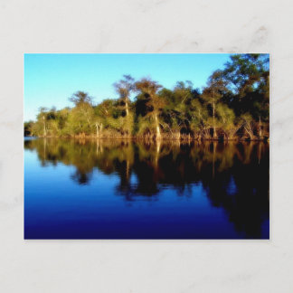 Florida River Postkarte