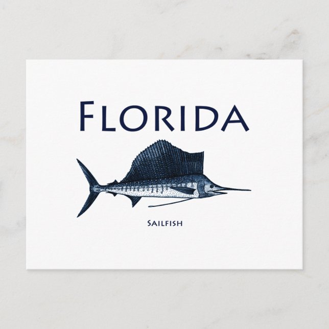 Florida Sailfish Postkarte (Vorderseite)