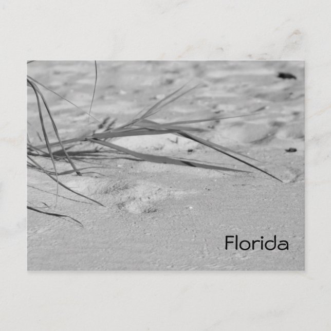 Florida Sand Postkarte (Vorderseite)