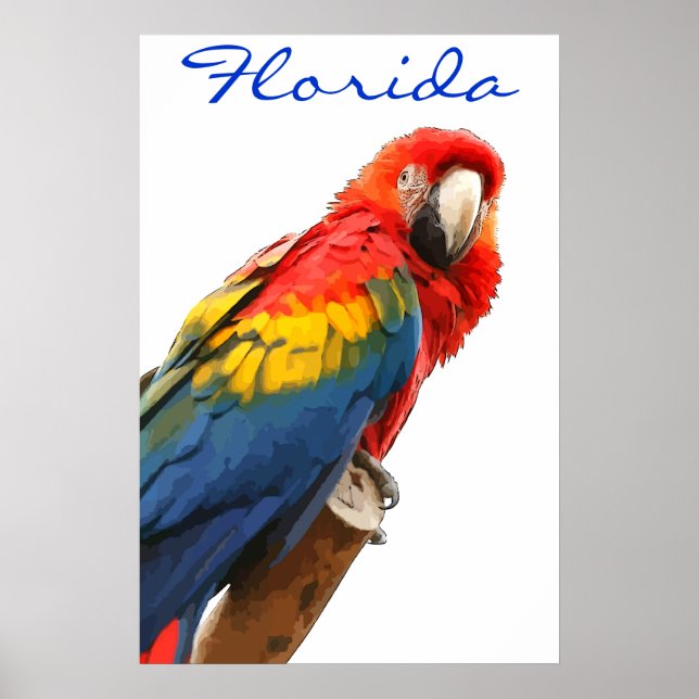 Florida Scarlet Macaw Poster (Vorne)