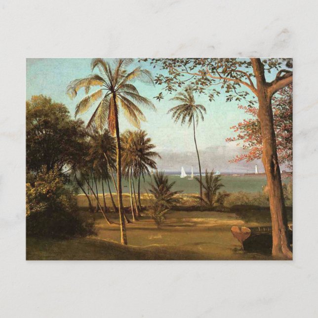 Florida Scene, Kunstmalerei, Postkarte (Vorderseite)
