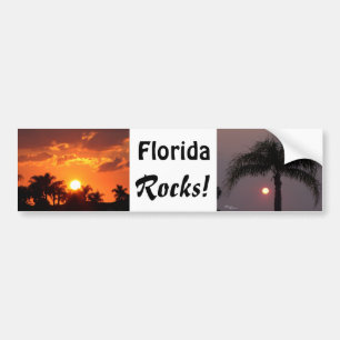 Florida schaukelt Autoaufkleber