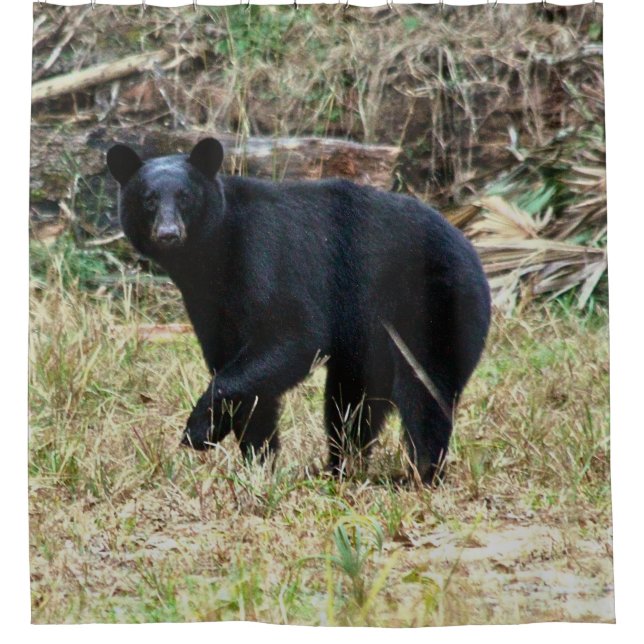 Florida-Schwarzbär Duschvorhang (Vorderseite)
