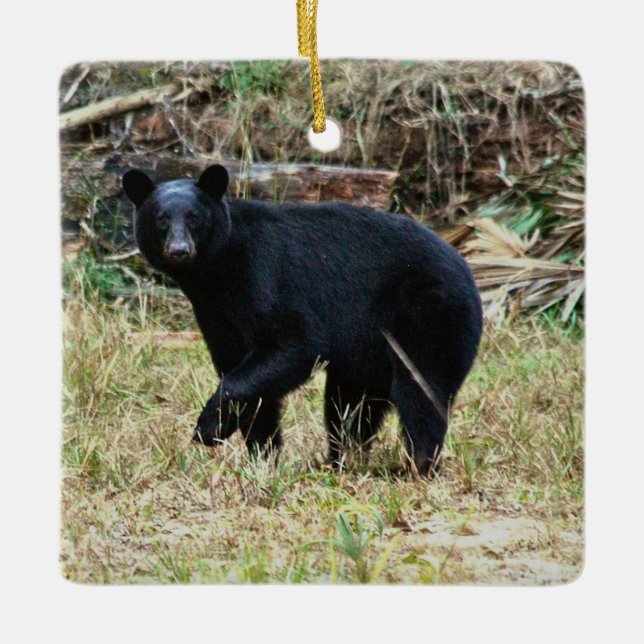 Florida-Schwarzbär Keramikornament (Vorderseite)