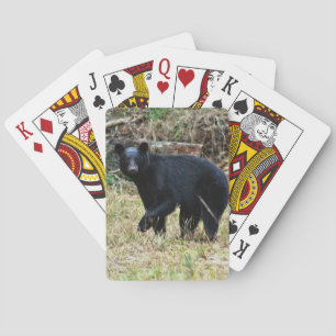 Florida-Schwarzbär Spielkarten