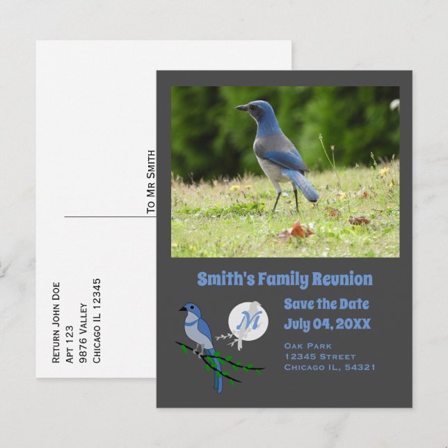 Florida Scrub Jay Wiedersehen Monogram Foto Einladungspostkarte (Vorne/Hinten)