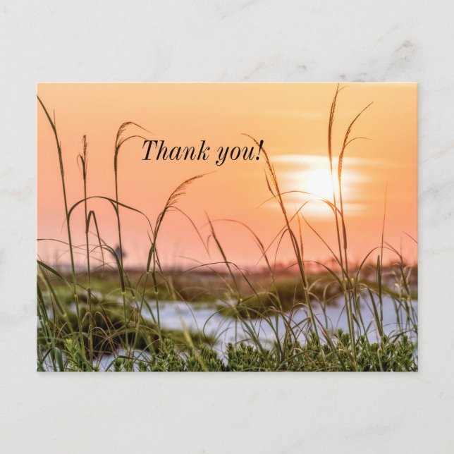 Florida Sea Oats Sunrise Danke, Postcard Postkarte (Vorderseite)