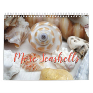 Florida Seashell Calendrier de la photographie Vol
