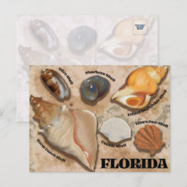 Florida Seashell Postcard Postkarte