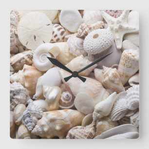 Florida-SeeMuschel-Hintergrund - Strand-Muscheln Quadratische Wanduhr