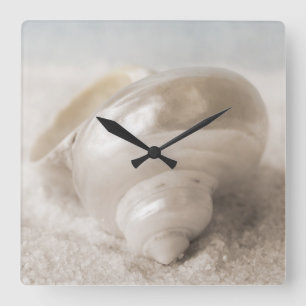 Florida-SeeMuschel-Hintergrund - Strand-Muscheln Quadratische Wanduhr