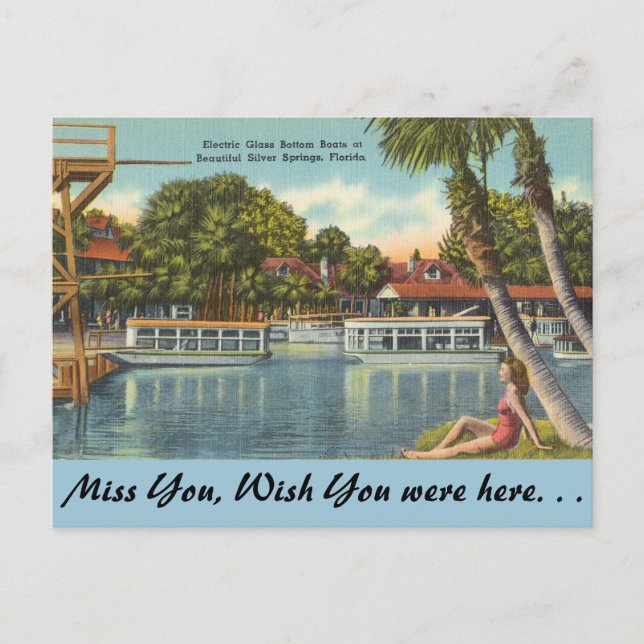 Florida, Silver Springs Postkarte (Vorderseite)