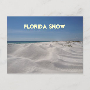 Florida Snow Postkarte