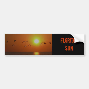 Florida-Sonnenuntergang mit Möven-Autoaufkleber Autoaufkleber