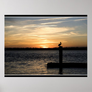 Florida-Sonnenuntergang mit Pelikan Poster