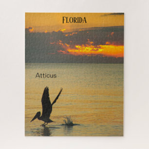 Florida-Sonnenuntergang Pelikan beim Start an der 