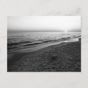 Florida - Sonnenuntergang schwarz-weiß Postkarte