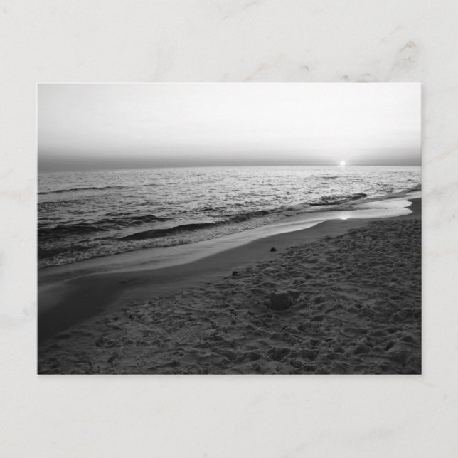 Florida - Sonnenuntergang schwarz-weiß Postkarte (Vorderseite)