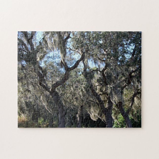 Florida Spanish Moss (Horizontal)
