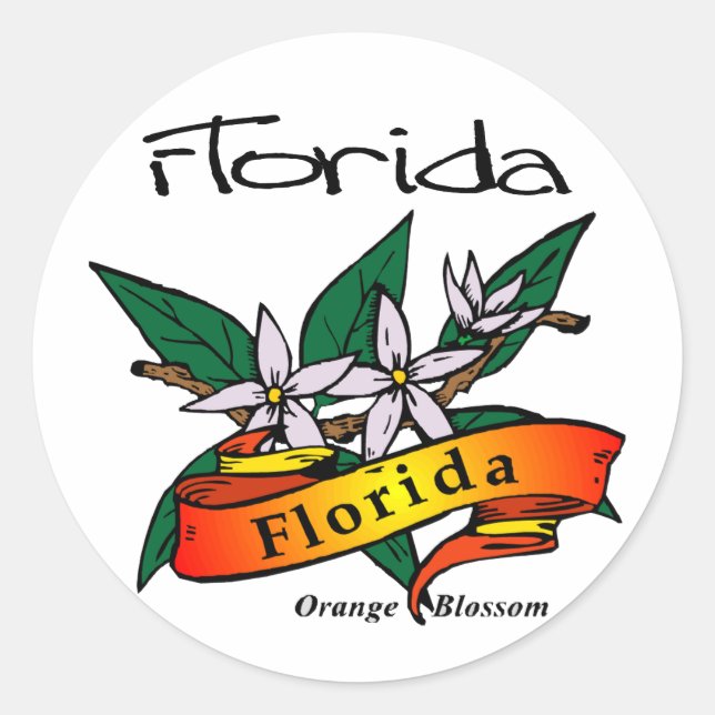 Florida Staat Blume Orange Blossom Runder Aufkleber (Vorderseite)