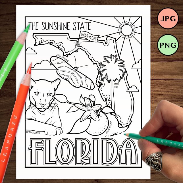 Florida Staat Form und Faktenfärbung Flyer (Von Creator hochgeladen)