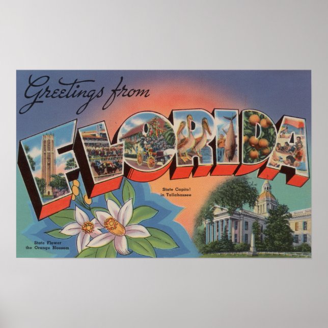 Florida (Staat Hauptstadt Scene) Poster (Vorne)