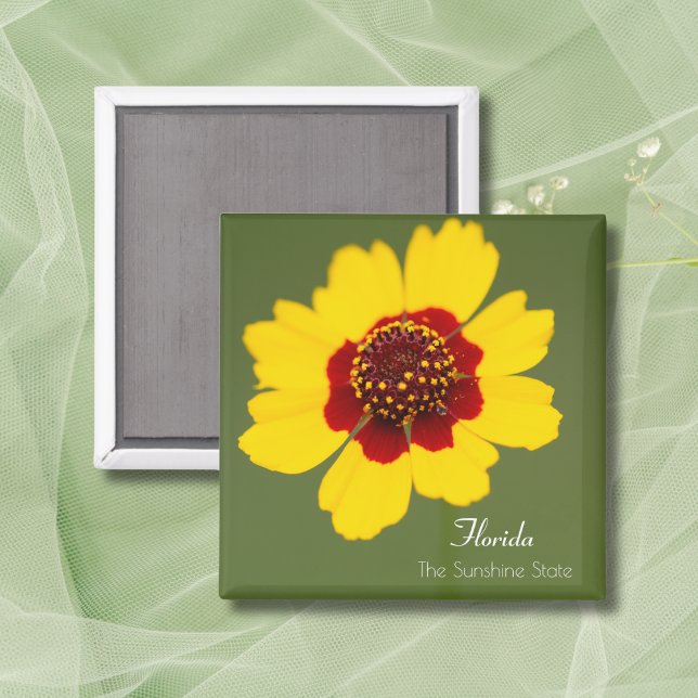 Florida Staat Tickweed Coreopsis Magnet (Von Creator hochgeladen)