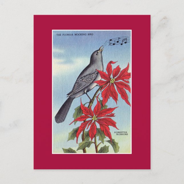 Florida Staat Vogel und Blume (Spottdrossel) Postkarte (Vorderseite)