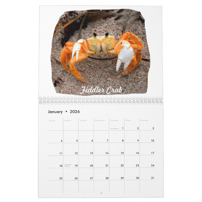 Florida-Strand-Bild-Fotos Kalender (Jan 2026)