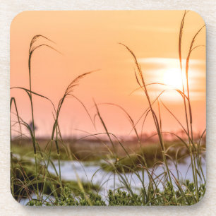 Florida Strandhafer Sonnenaufgang Getränkeuntersetzer
