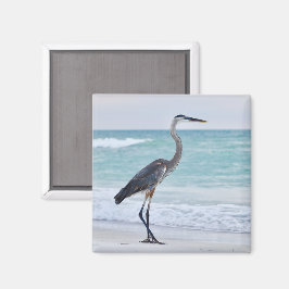 Florida-Strandvögel Magnet